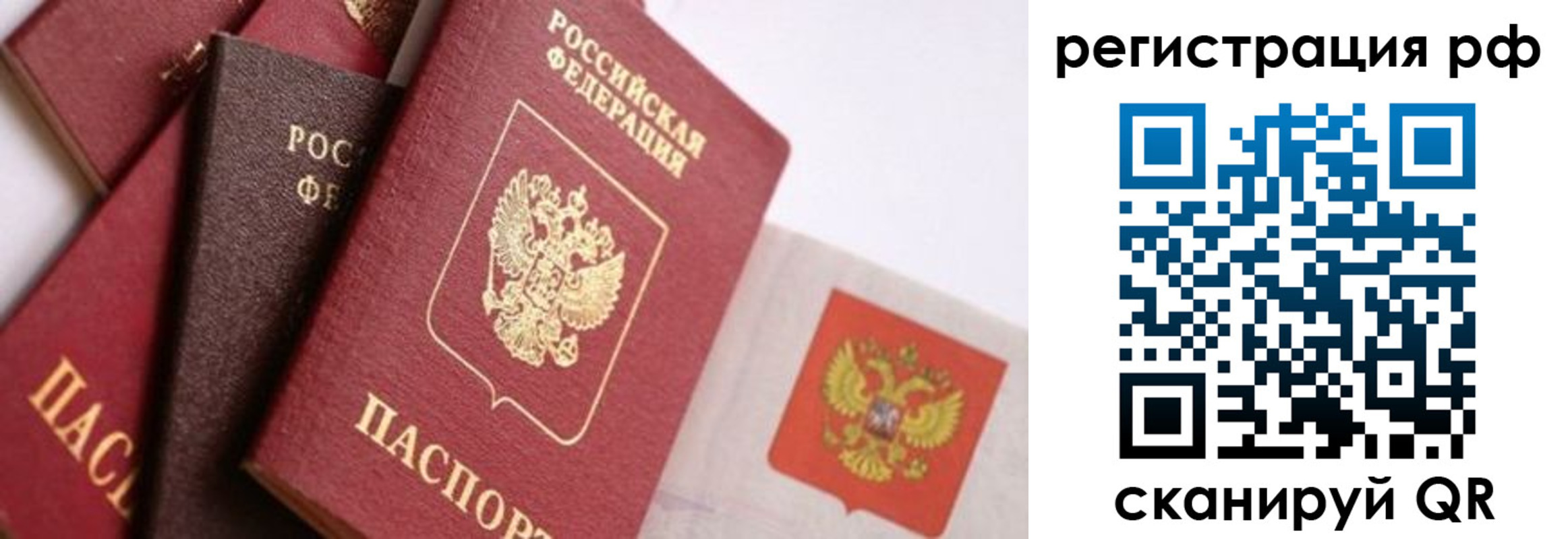 прописка гарантия в Чайковском
